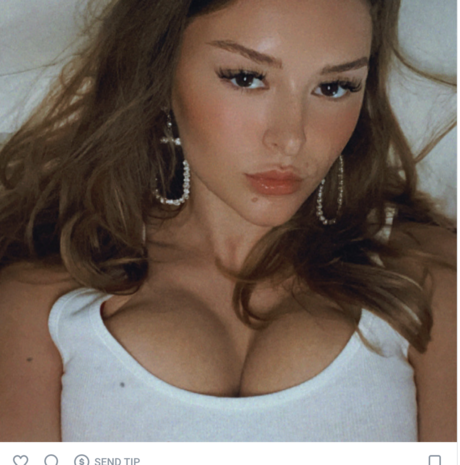 Tayy lavie model top image