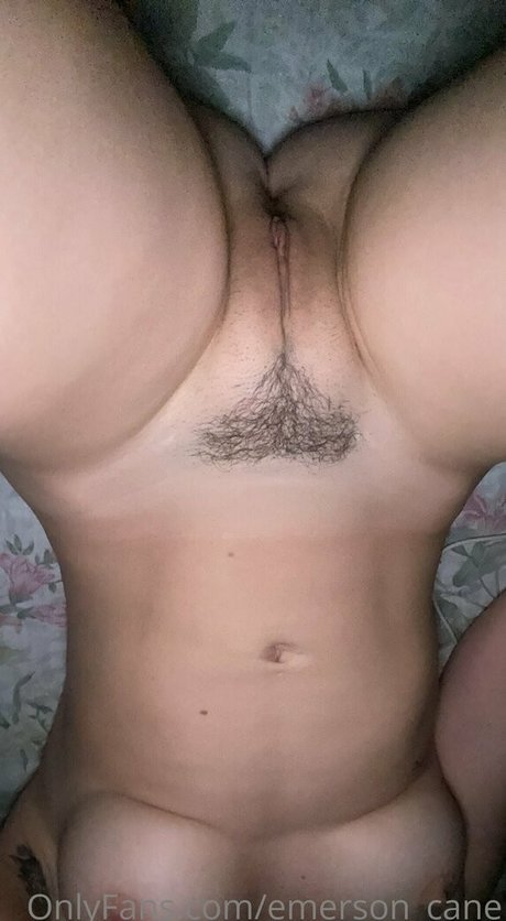 Emerson cane porn actress picture