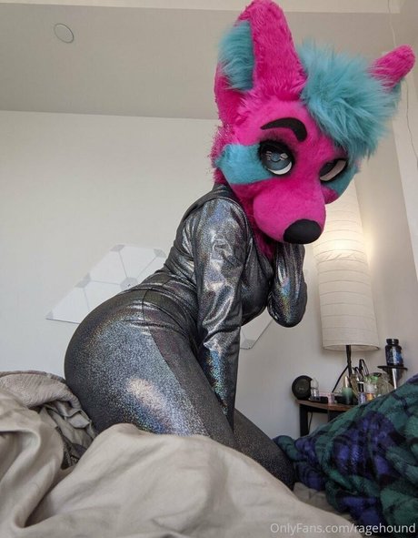 ragehound star adult image