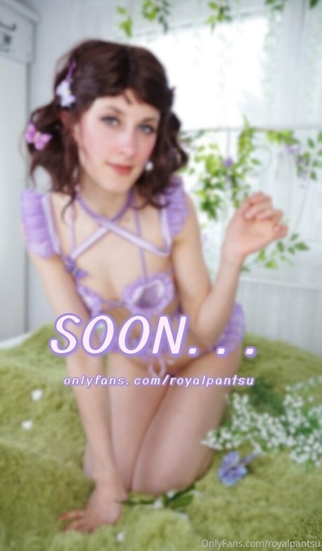 royalpantsu top star image