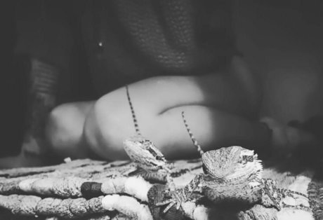 artnvenom naked pornstar images