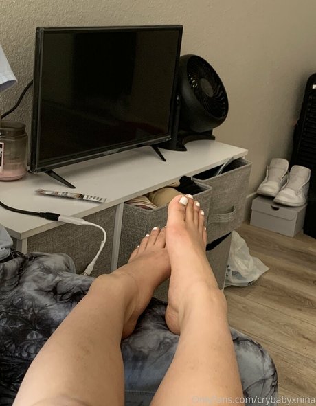 Crybabyxnina pornographic actress img