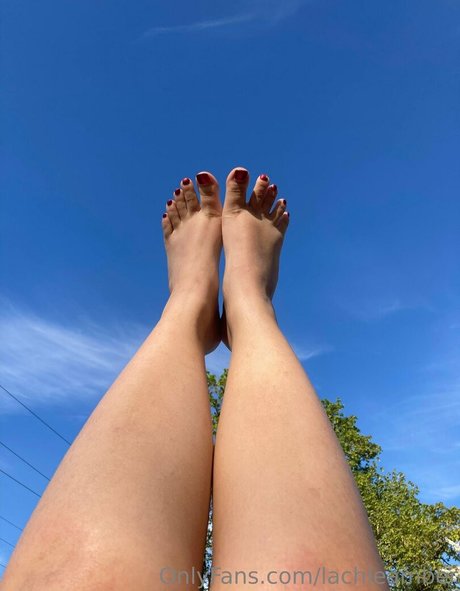 lachleamber high quality pornstar images