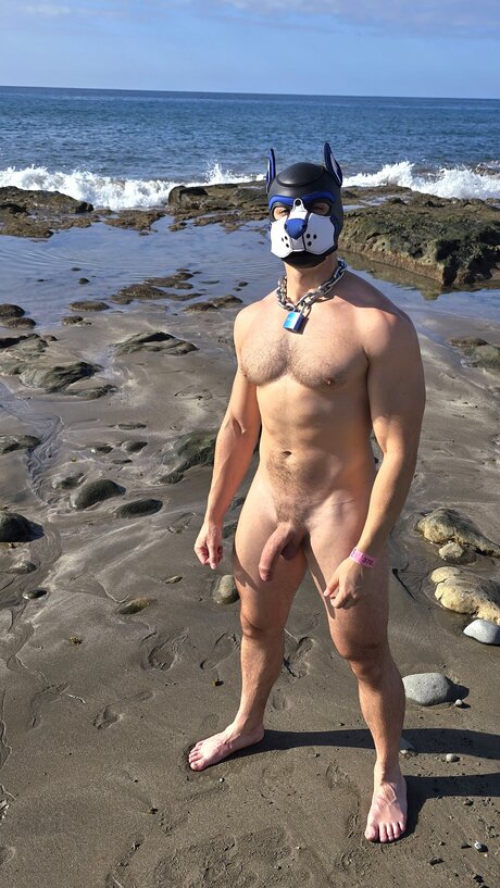 pupbuday star nice pics