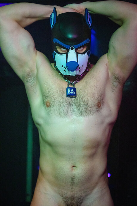 pupbuday hot model img