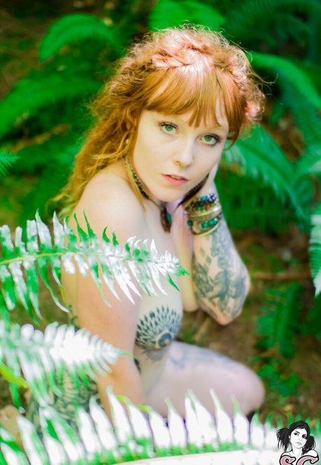 Lilredfoxx star high quality photos