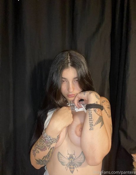 pantere model img