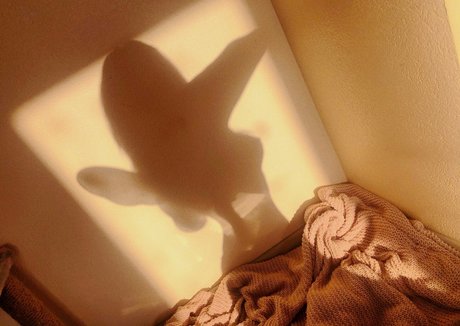 Rachel Blossom naked star img