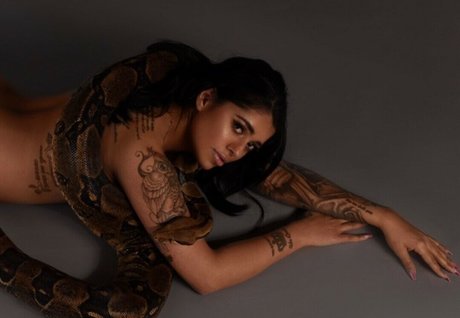 Mikayla Dabash art pornstar galleries
