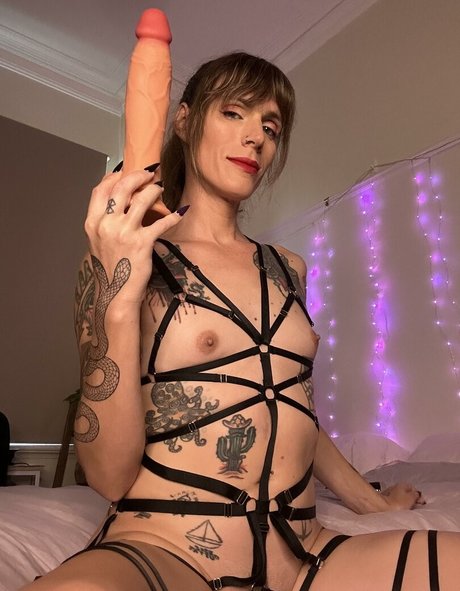 Mistress Meow TS free pornstar photos