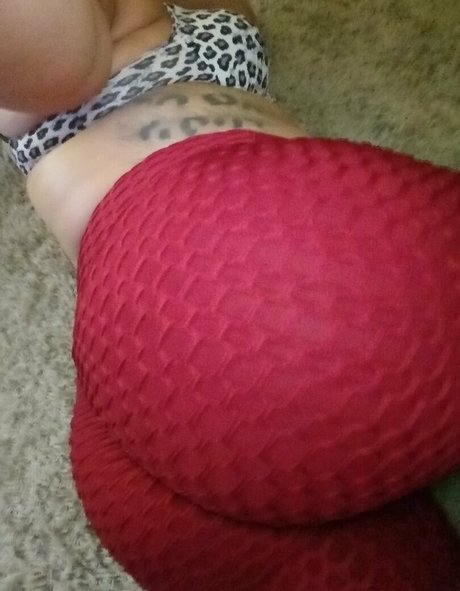 arobbes hot pornstar galleries