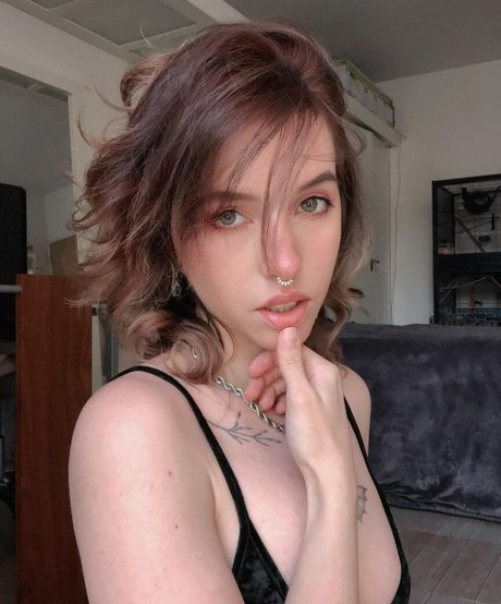 Xailurus pornstar naked galleries