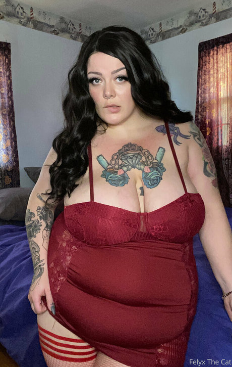 felyxthecat best pornstar photo