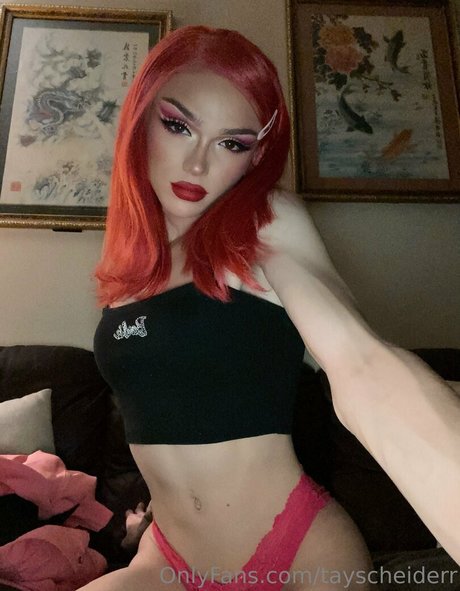 tayscheiderr exclusive pornstar photo