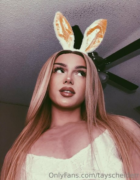 tayscheiderr model porn archive
