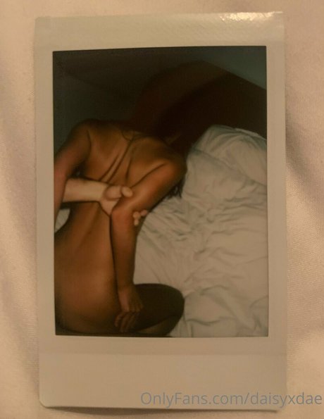 daisyxdae nudes pornstar picture