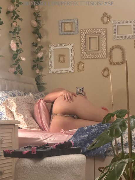 perfecttitsdisease adult actress pics