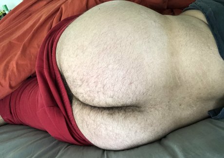 beefybull profile image