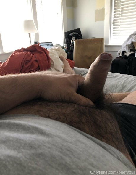 beefybull porn star pictures