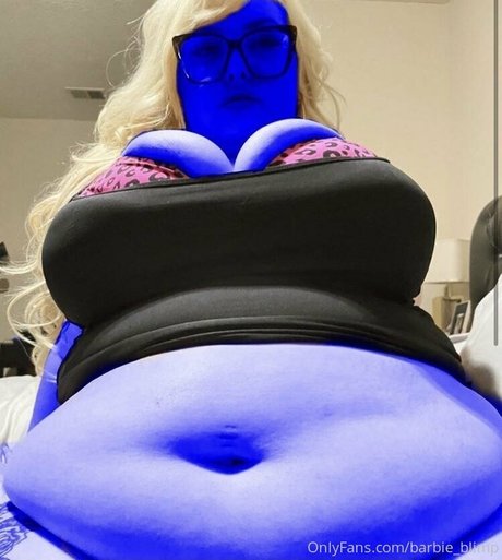 barbie blimp model high quality picture