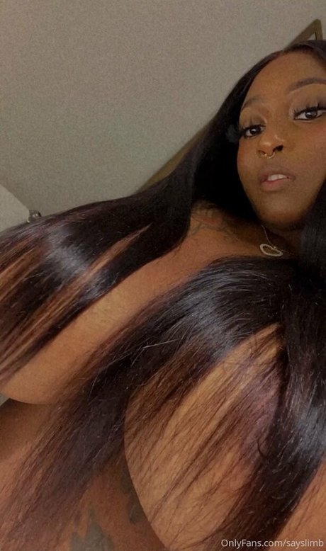 sayslimb nice model gallery