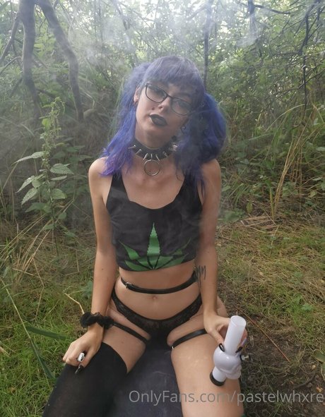 pastelwhxre profile image