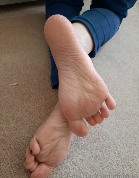 homefortoes best pornstar archive