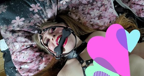 bloodylovely profile image