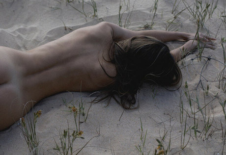 Ellie Chase nude star image
