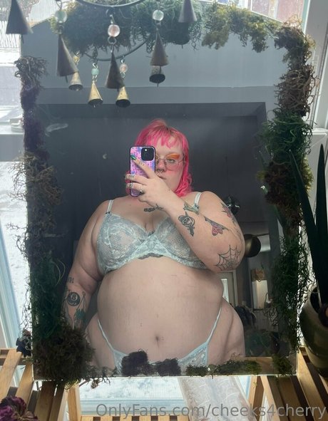 cheeks4cherry star top photo
