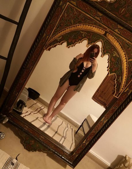 Feedeline model exclusive gallery