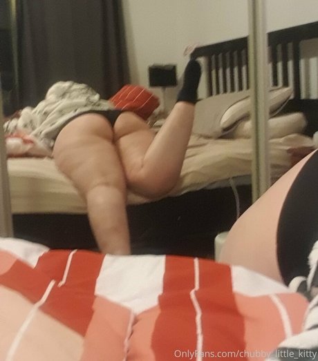chubby little kitty model sexy pic