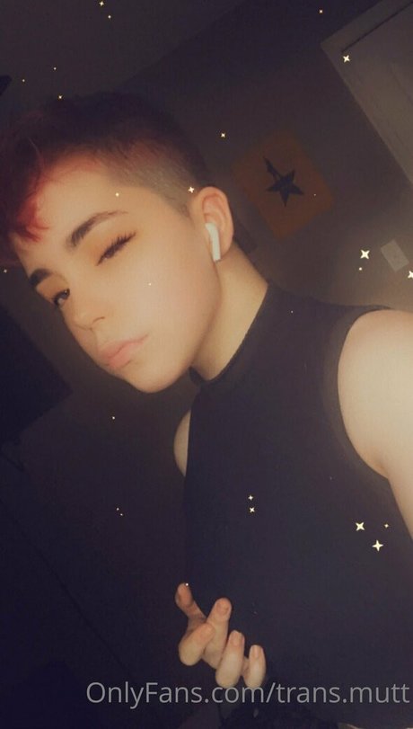 trans mutt profile image