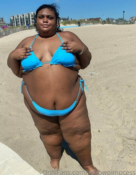ssbbwpimpcess model high quality pics