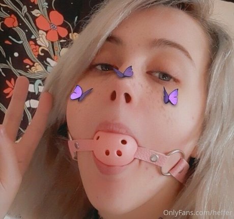 heffer star high quality images