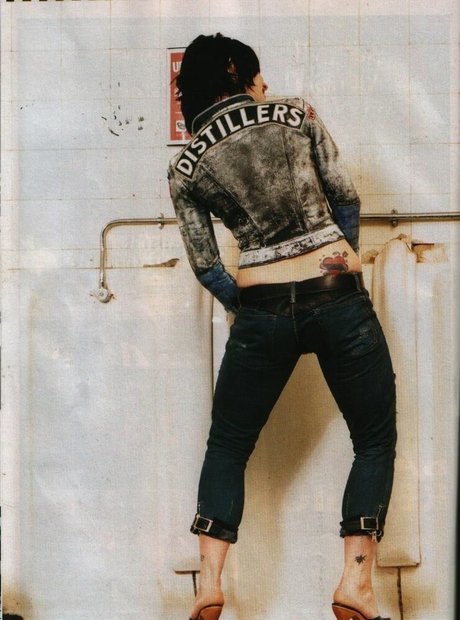 Brody Dalle pornstar img