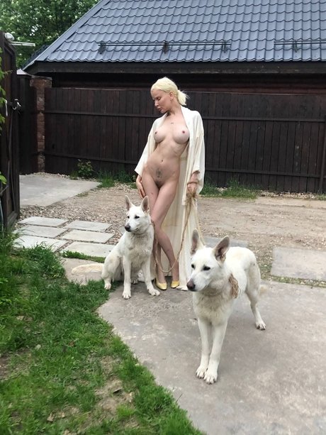 Alisa Liss art actress image