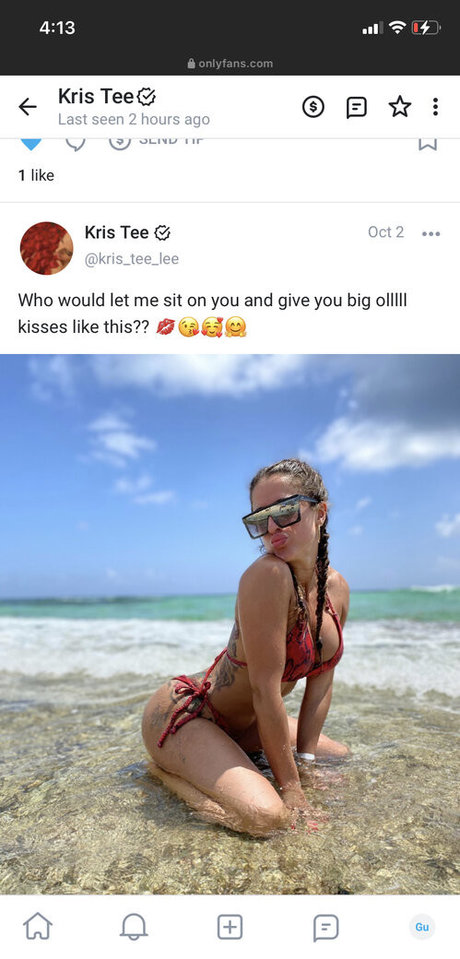 Kris Tee Lee pornstar adult pic
