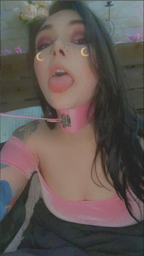 kittychipz star pictures