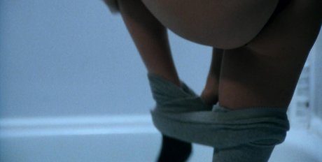 Shannon Elizabeth star free images