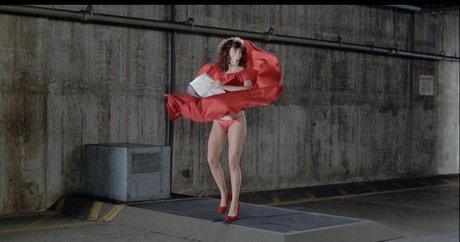 Kelly LeBrock model adult photos