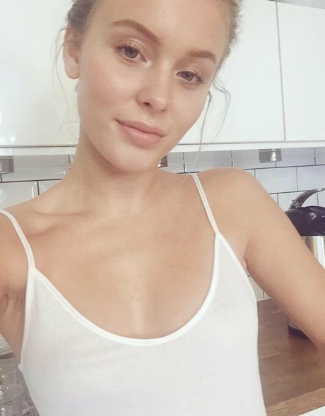 Zara Larsson pornographic star picture