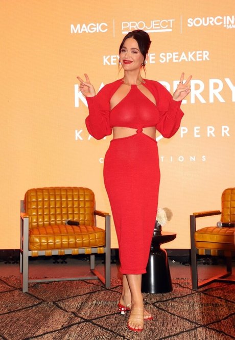 Katy Perry star erotic galleries