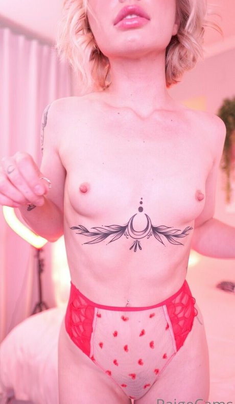 paigecams exclusive pornstar archive