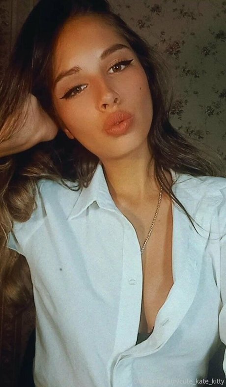 cute kate kitty exclusive star images
