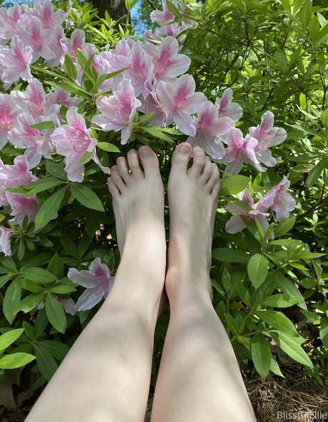 blissfulellie star nude img
