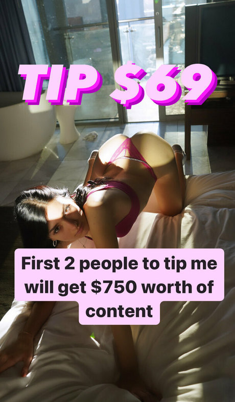 sillababe star beautiful gallery