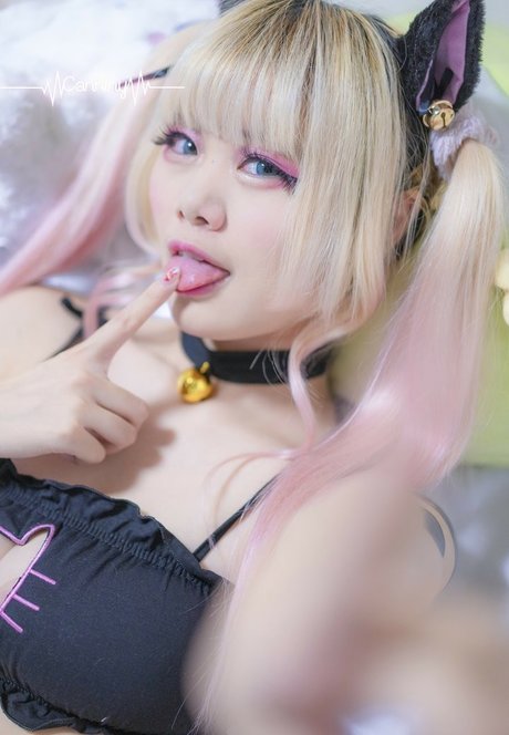 Canniny model top photo