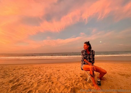 whiterabbitsx art actress images