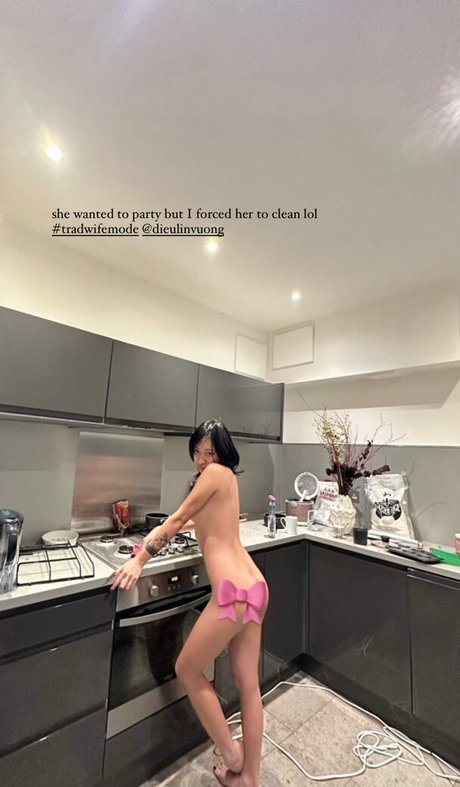 Dieu Linh Vuong free pornstar image